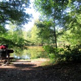 2309F 115 Hirschteich